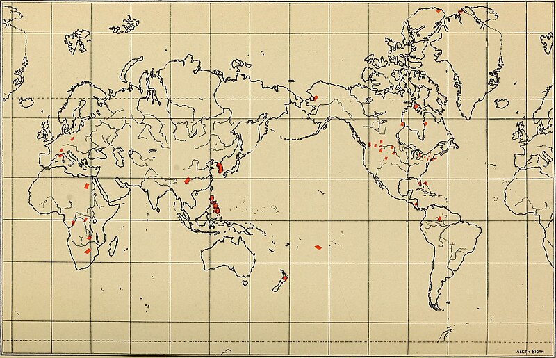 File:Annual report of the American Museum of Natural History for the year (1907) (17810968773).jpg