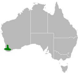 Aprasia pulchella distribution