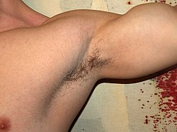 Armpit by David Shankbone.jpg