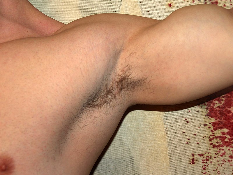 File:Armpit by David Shankbone.jpg