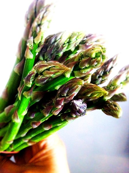 File:Asparagus (5661403316).jpg