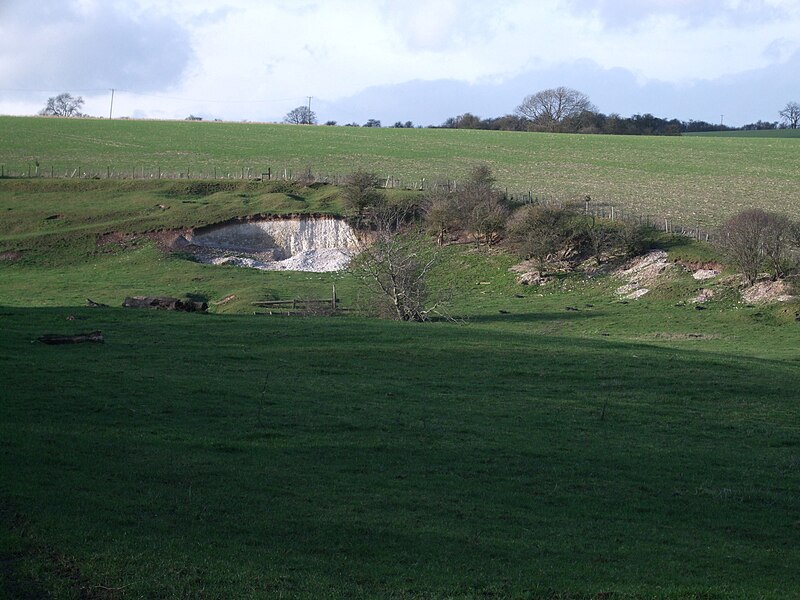 File:Badger sets near Snap - geograph.org.uk - 2781396.jpg