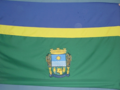 Bandeira Palmares do Sul copy.png