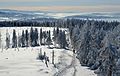 * Nomination View from Barania Góra tower, Beskid Śląski mountains, Silesia --Pudelek 13:38, 25 December 2016 (UTC) * Promotion QI imo, nice winter weather.--ArildV 13:42, 25 December 2016 (UTC)  Comment - Pudelek, if you crop out just a little bit on the bottom of the picture frame to eliminate the stray portion of a slanted branch on the left, I think this photo could be featurable. I can't help hearing the song "Winter Wonderland" in my mind's ear while looking at this photo. -- Ikan Kekek 15:36, 25 December 2016 (UTC)  Info Ok, I cropped photo --Pudelek 21:15, 25 December 2016 (UTC) Great. I would surely vote to feature this photo if it were nominated at COM:FPC. -- Ikan Kekek 08:25, 26 December 2016 (UTC)