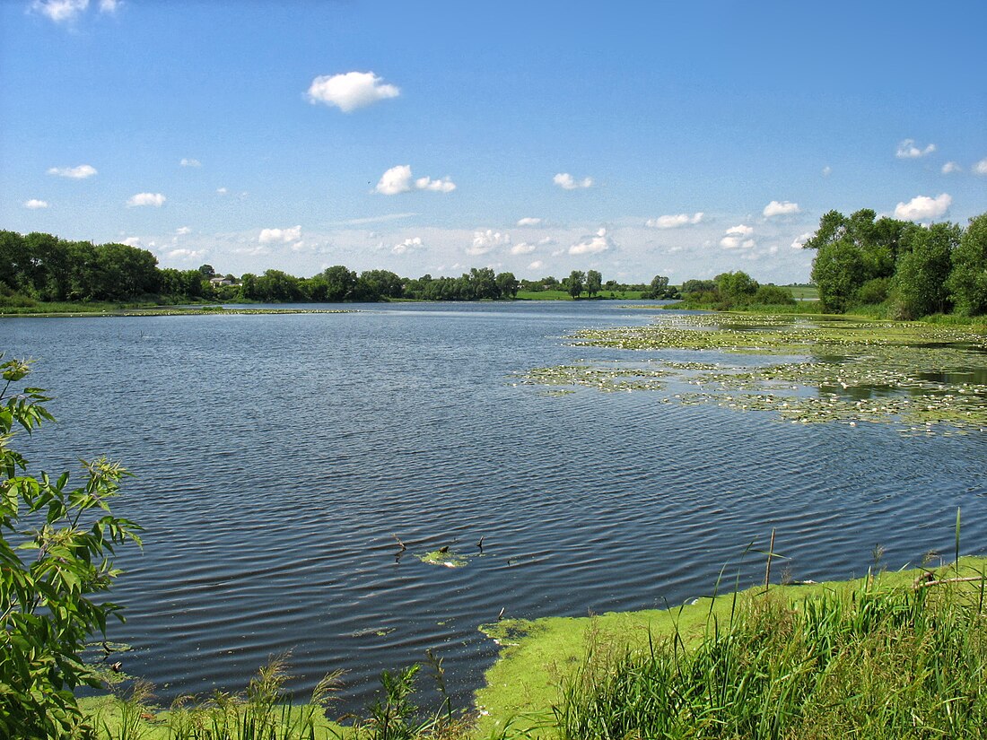 Гідрологічний заказник