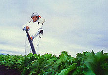 A technician is applying Beauveria bassiana, a fungus that is a natural enemy to silverleaf whiteflies to a plot of vegetables near Weslaco, Texas. Beauveria bassiana.jpg