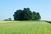 Det arkæologiske sted i Noirmont tumuli på et sted kaldet Champ des Tombes