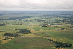 Llanos de Moxos (ecoregione locale) vista dall'alto. Nella sinistra, sullo sfondo, è visibile il fiume Mamoré