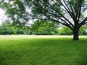 Innerer Parkring: Verlauf, Nahverkehrsanschlüsse, Literatur