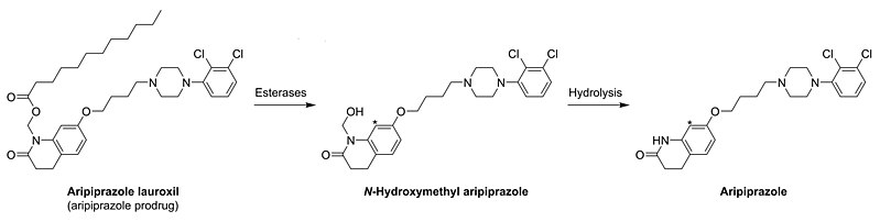 File:Bioactivation of aripiprazole lauroxil into aripiprazole.jpg