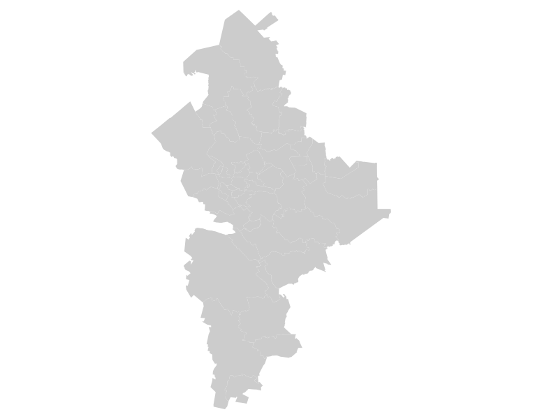File:Blank map of Nuevo Leon.svg