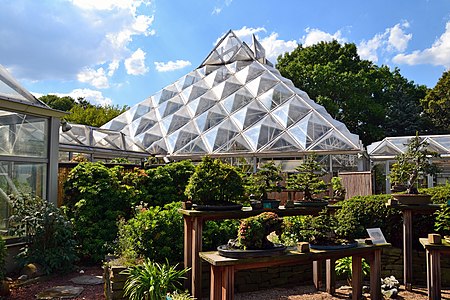 Bonsaigarten, Grugapark Essen