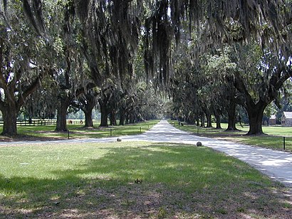 How to get to Mount Pleasant South Carolina with public transit - About the place