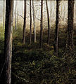 Bosque (Forêt) Huile/toile 38x33 cm (1977)