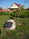 Brańszczyk - Stanisław memorial oak.jpg