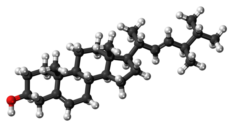 File:Brassicasterol molecule ball.png