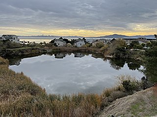 <span class="mw-page-title-main">Brickyard Cove Pond</span> Lake in the state of California, United States