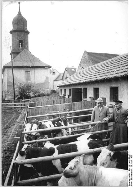 File:Bundesarchiv Bild 183-45253-0012, Schorba, Bauern im Außengehege.jpg