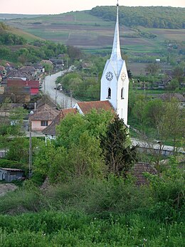 Bilgi Kutusu'ndaki görüntü.