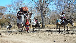 <span class="mw-page-title-main">Baggara Arabs</span> Nomadic confederation in the Sahel