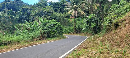 Carretera PR-8811, Naranjito, Puerto Rico (2).jpg