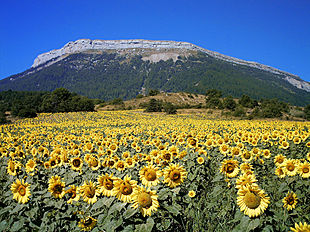 La Montagne de Céüse.