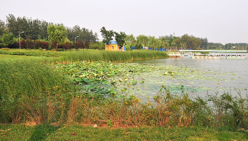 File:Chaoyangparkpic10.jpg