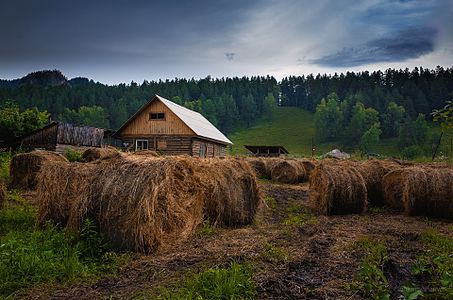 Сельский дом в Алтайском крае