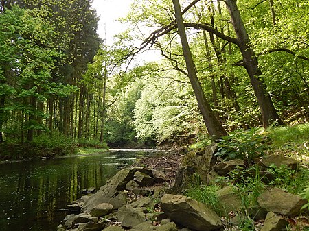 Chemnitzfluss