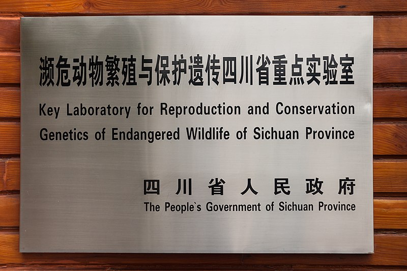 File:Chengdu Sichuan China Panda-breeding-and-research-center-04.jpg