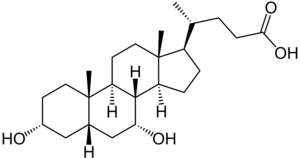 Chenodeoxycholic acid.png