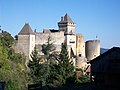 Château de Castelnaud-la-chapelle.JPG