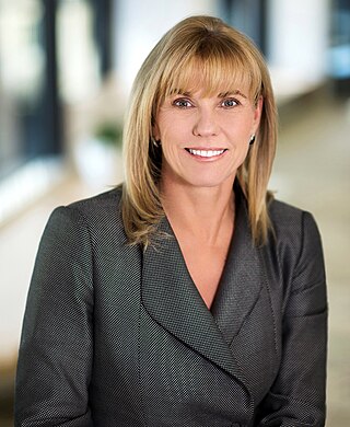 <span class="mw-page-title-main">Cindy Hook</span> American businesswoman (born 1964)