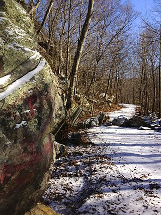 <span class="mw-page-title-main">Cockaponset State Forest</span> Largest forest in Connecticut, United States