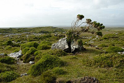 Connemara (pixinn.net).jpg