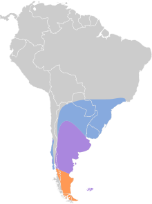 Coscoroba coscoroba mapa.svg