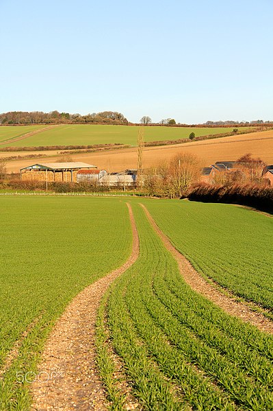 File:Cranbourne Grassy Field Track 1 (63439395).jpeg