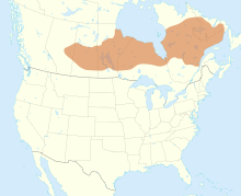 Region inhabited by the Cree peoples Cree map simple.svg