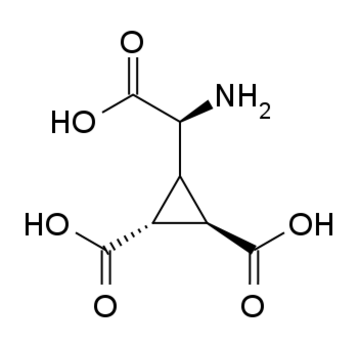 DCG-IV