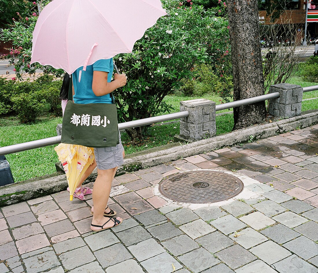 File:Delight-Land Elementary School schoolbag and TPC manhole cover in Taichung Park 20090614.jpg