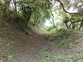 Archeologické práce na valech kolem Hinton Hillu severně od Dyrhamu