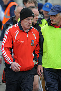 <span class="mw-page-title-main">Dinny Cahill</span> Irish hurling manager and former player