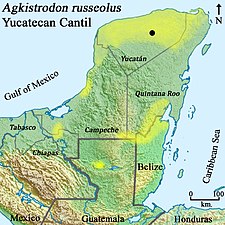 Distribution of the Yucatán Cantil, (Agkistrodon russeolus)