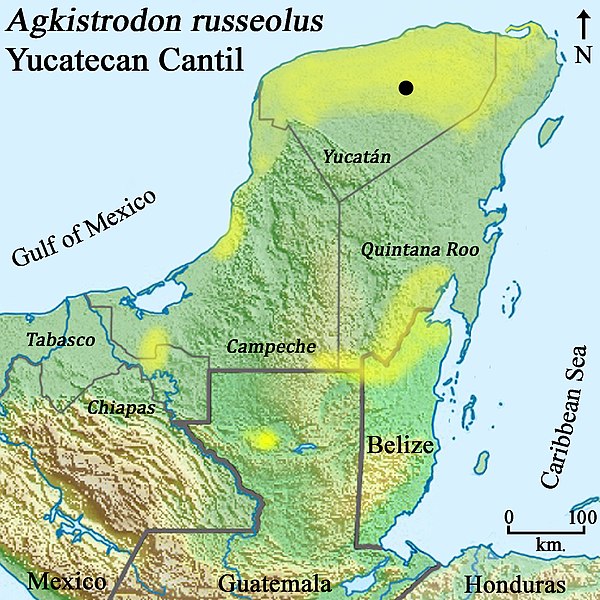 File:Distribution of the Yucatán Cantil, (Agkistrodon russeolus).jpg