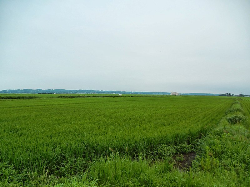 File:Dobashi Hirono, Sakata-shi, Yamagata-ken 998-0125, Japan - panoramio.jpg