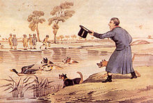 The sport of duck-baiting Duck-baiting.jpg