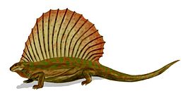 Edaphosaurus