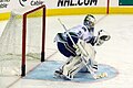 Eddie Lack playing for the Canucks during the 2013–14 season