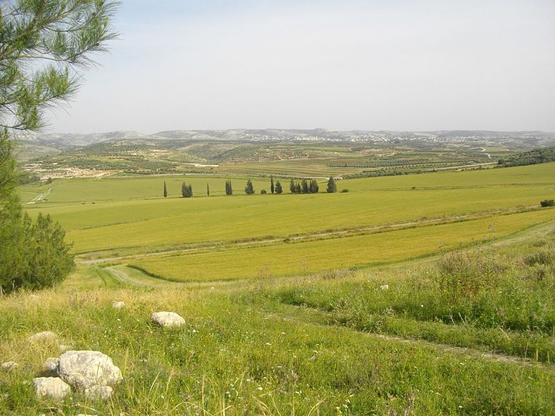 File:Elah Valley - Passover 2014.jpg