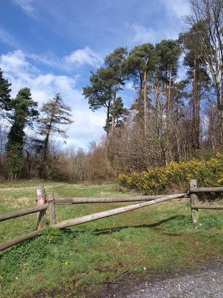 File:Entrance to track near Beggar's Bush - geograph.org.uk - 748451.jpg